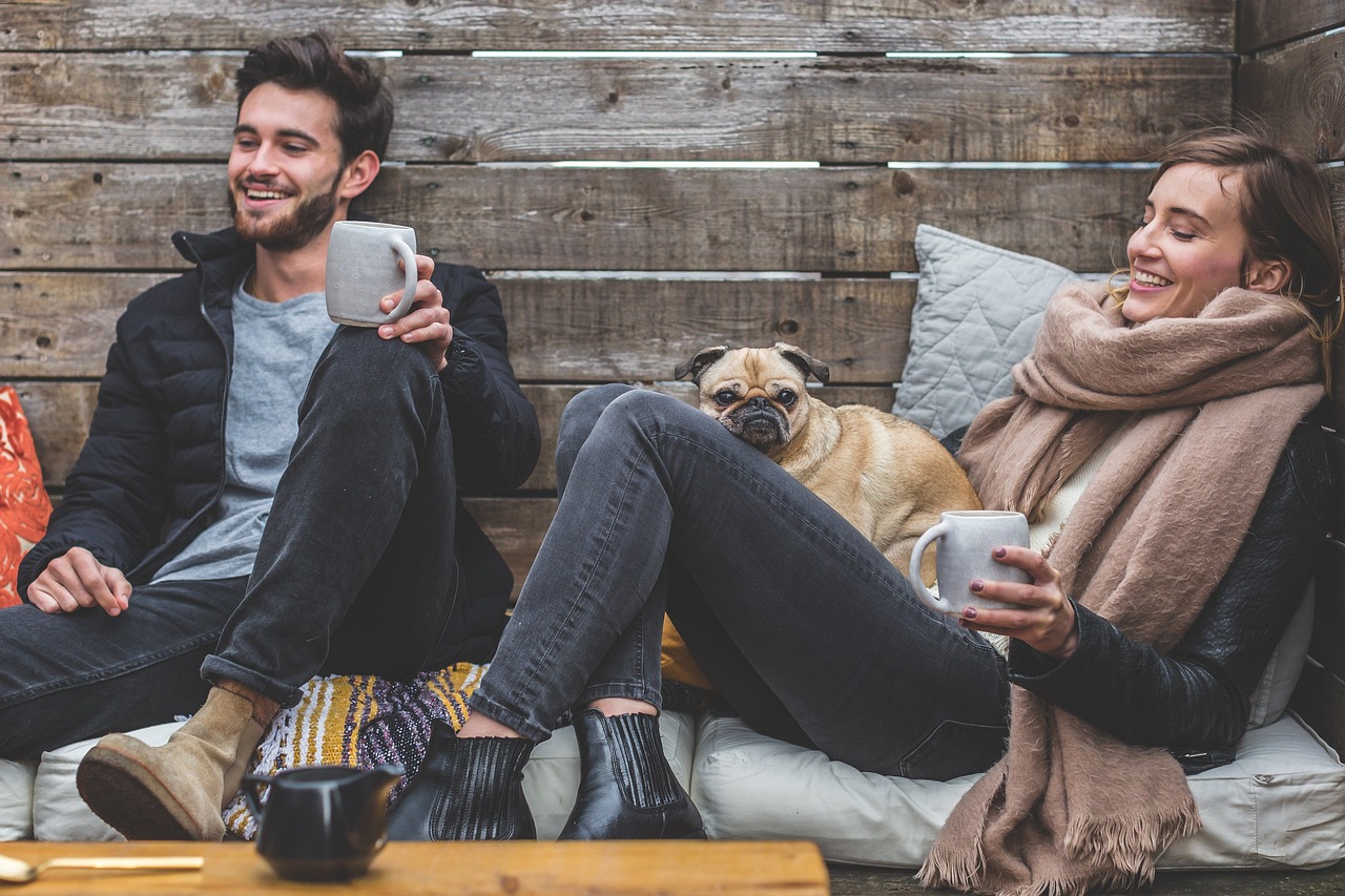 Ways Pets Can Be a Great Source of Entertainment